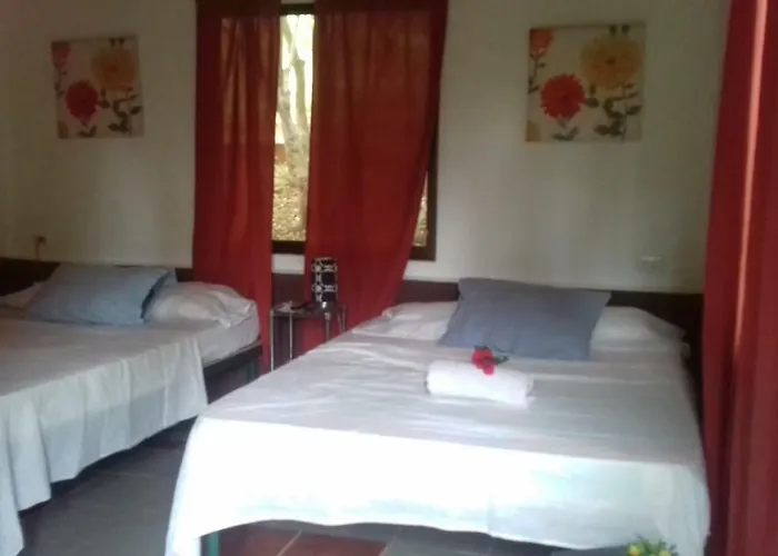 De Monos, Casitas Equipadas En Guanacaste Apartment