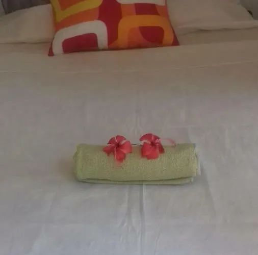 De Monos, Casitas Equipadas En Guanacaste